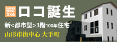ロコ誕生